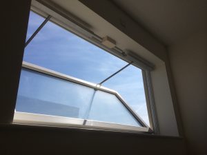 IMG_3177